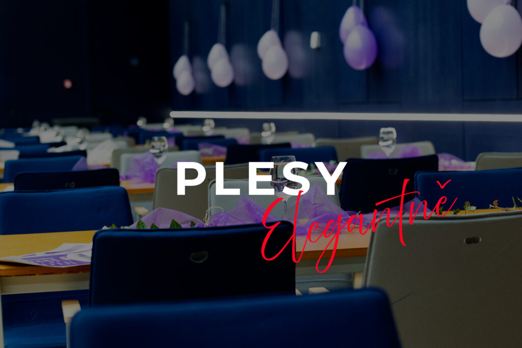 Plesy-náhledovka